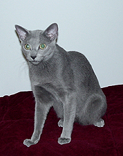 21_Tylona Bart Tsar